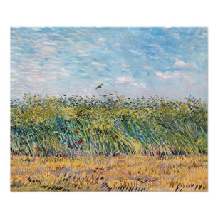 Foto Vincent van Gogh - Campo de trigo com Lark