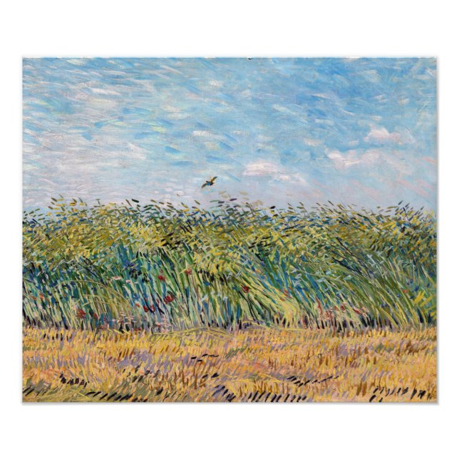 Foto Vincent van Gogh - Campo de trigo com Lark (Frente)