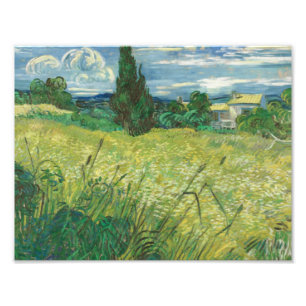 Foto Vincent van Gogh - campo verde