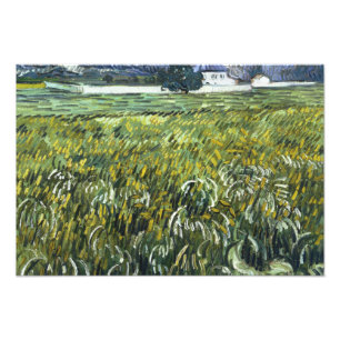 Foto Vincent van Gogh - Casa em Auvers