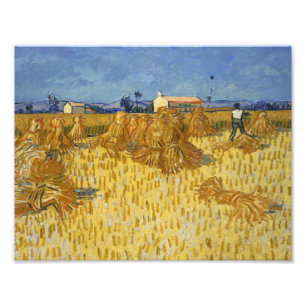 Foto Vincent van Gogh - Colheita de Milho na Provença