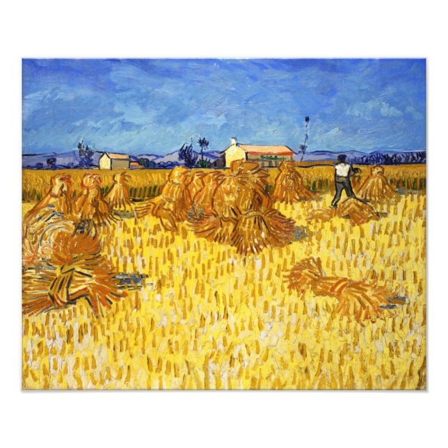 Foto Vincent van Gogh - Colheita na Provença (Frente)