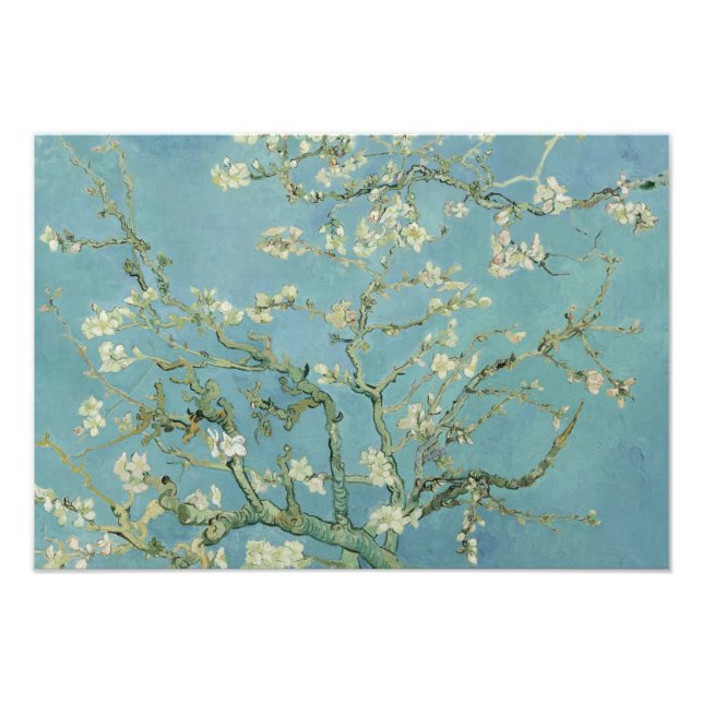 Foto Vincent van Gogh - Flor de Amendoeira (Frente)