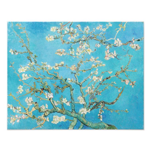 Foto Vincent van Gogh - Flor de Amendoeira (Frente)