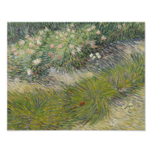 Foto Vincent van Gogh - Grass e Borboletas