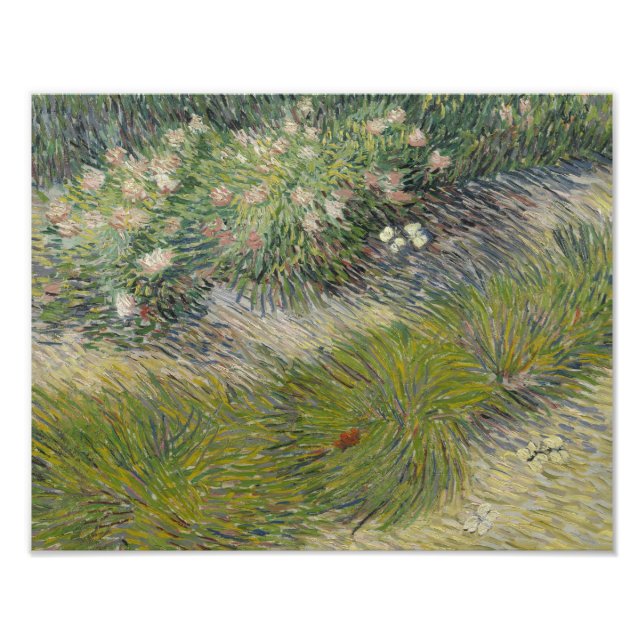Foto Vincent van Gogh - Grass e Borboletas (Frente)