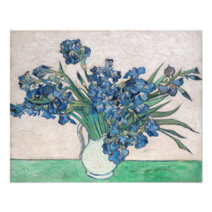 Foto Vincent van Gogh - Íris
