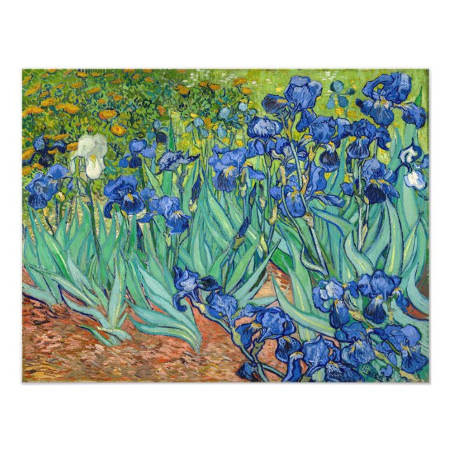 Foto Vincent Van Gogh - Íris (Frente)
