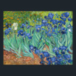 Foto Vincent Van Gogh - Irrises<br><div class="desc">Irlandeses / Íris - Vincent Van Gogh,  1889</div>