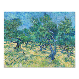 Foto Vincent van Gogh - Olival