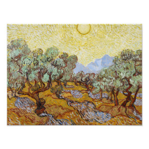 Foto Vincent van Gogh - Oliveiras