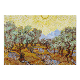 Foto Vincent van Gogh - Oliveiras