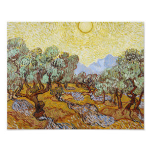 Foto Vincent van Gogh - Oliveiras