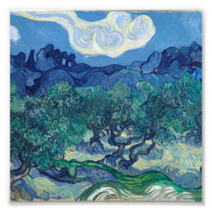 Foto Vincent Van Gogh - Oliveiras com Alpilles