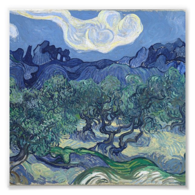 Foto Vincent Van Gogh - Oliveiras com Alpilles (Frente)