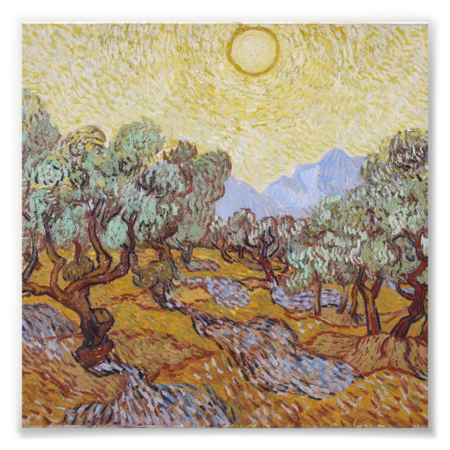 Foto Vincent Van Gogh - Oliveiras com Céu Amarelo (Frente)