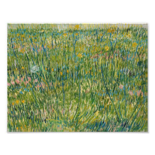 Foto Vincent van Gogh - Patch do Grass