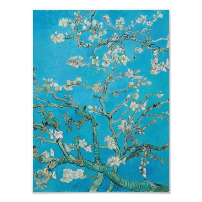 Foto Vincent Van Gogh - Ramificações com Flor de Amêndo (Frente)