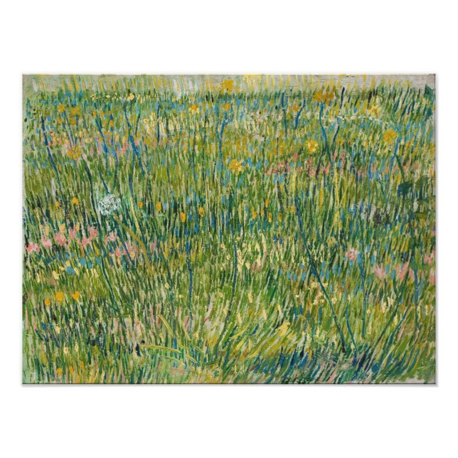 Foto Vincent van Gogh - Relva (Frente)