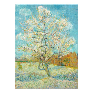 Foto Vincent van Gogh - Roseira em Flor