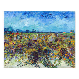 Foto Vincent van Gogh - Vinha Verde