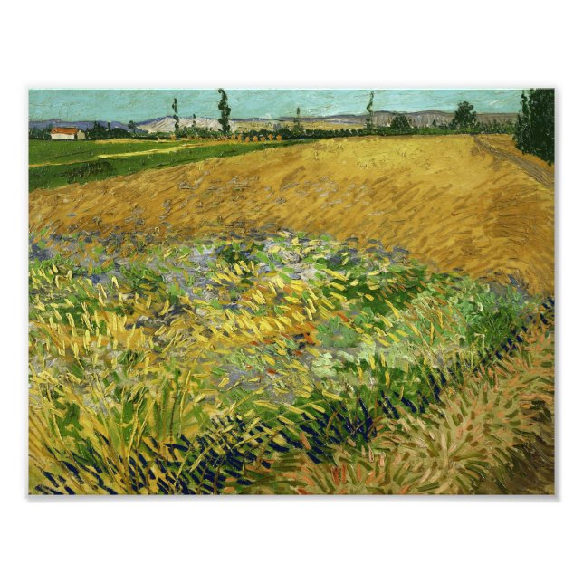 Foto Vincent van Gogh - Wheatfield (Frente)