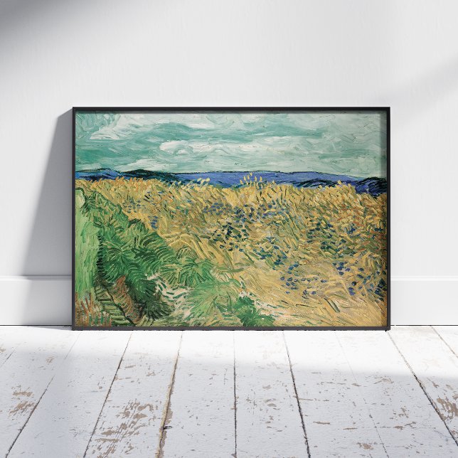 Foto Vincent Van Gogh, Wheatfield Com Cornflower (Criador carregado)