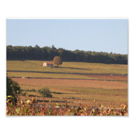Foto Vineyard, França, fotografia, próximo a Beaune