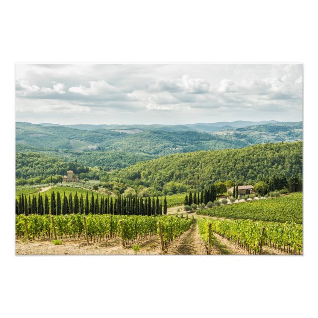 Foto Vineyards paisagens da manhã em Chianti. (Frente)