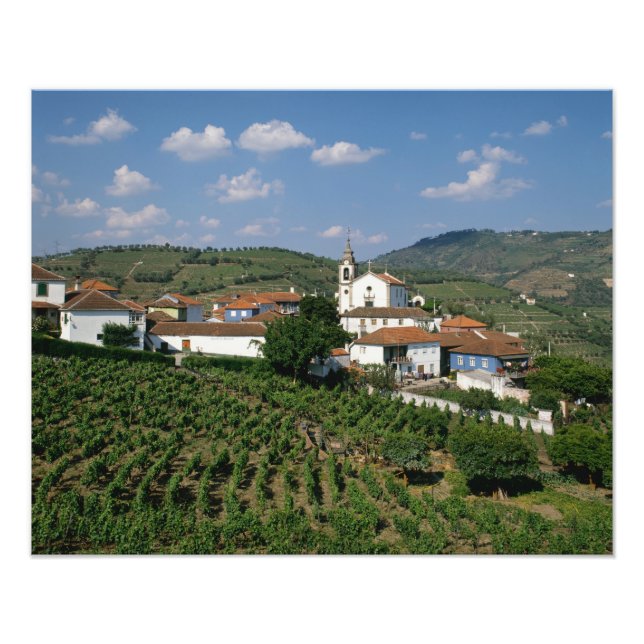 Foto Vinhas, Aldeia de São Miguel, Douro (Frente)