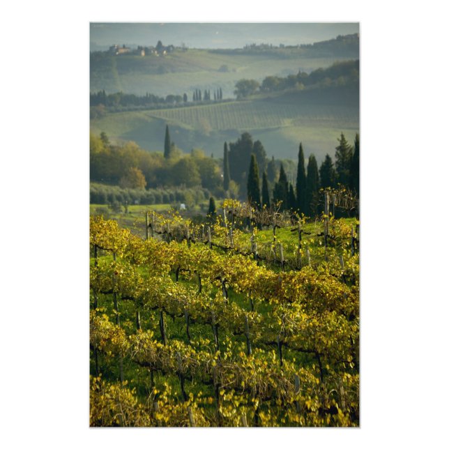 Foto Vinícola, Toscana, Itália (Frente)