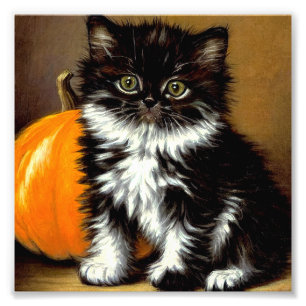 Foto Vintage Black and White Halloween Cat