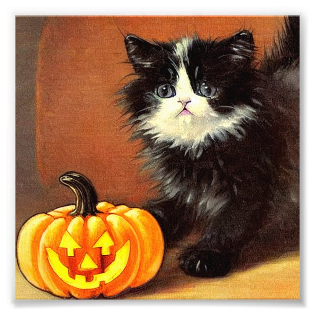 Foto Vintage Black and White Halloween Kitten (Frente)