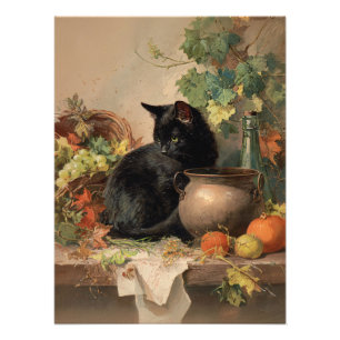 Foto Vintage Black Cat Em Meio A Frutas De Outono