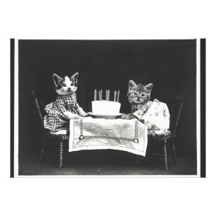 Foto Vintage Cats numa Festa de aniversário
