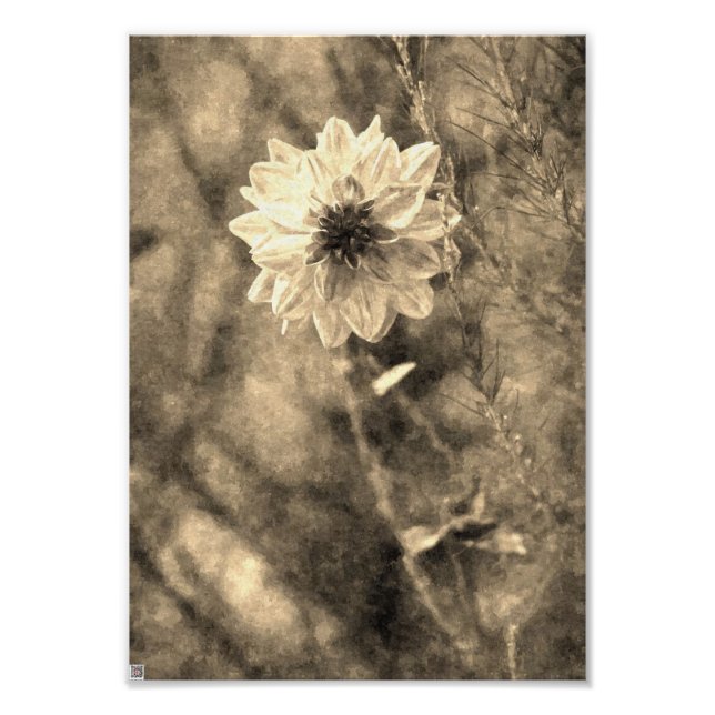 Foto Vintage Dahlia (Frente)