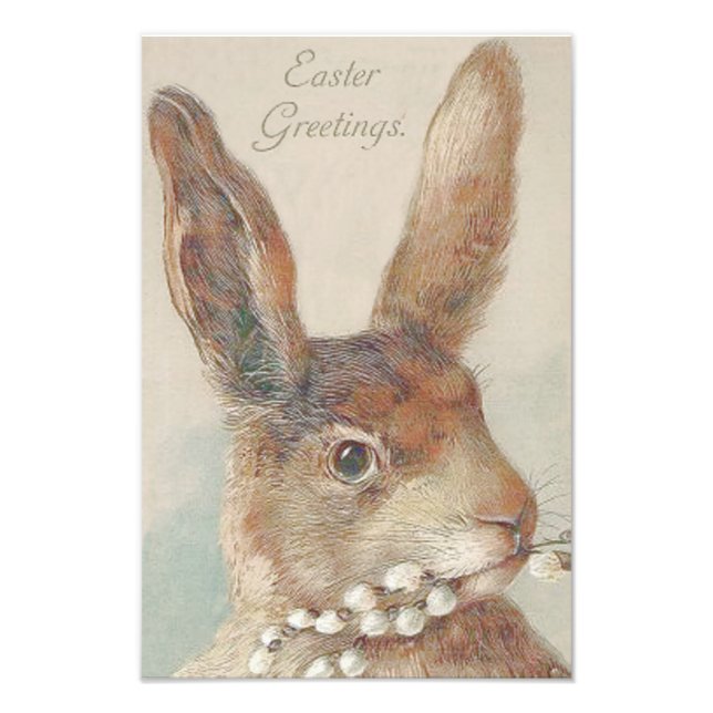 Foto Vintage Easter Bunny Rabbit (Frente)