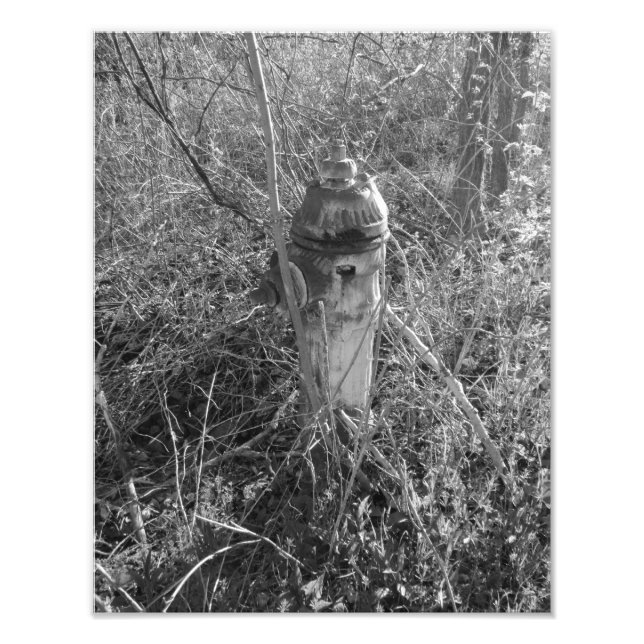 Foto Vintage Fire Hydrant (Frente)