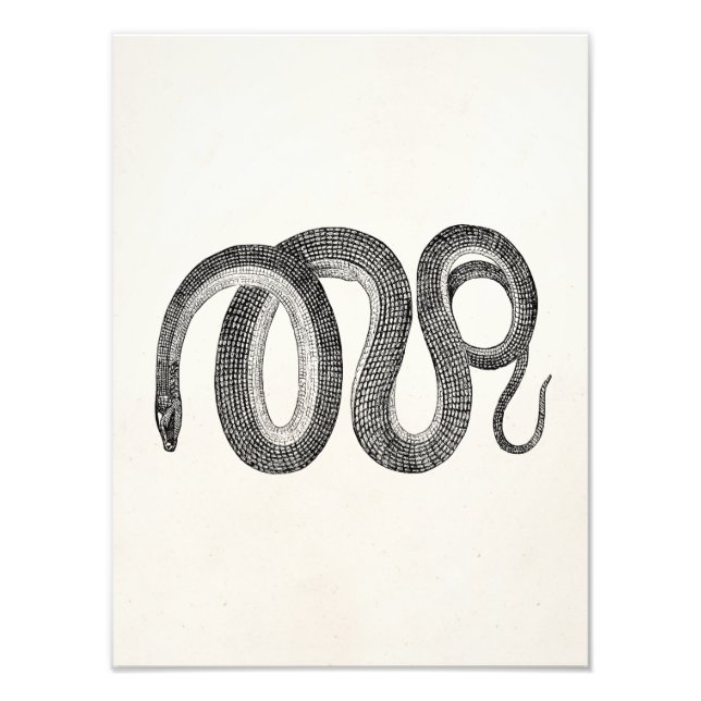 Foto Vintage Glass Cobra - Vazio Modelo (Frente)