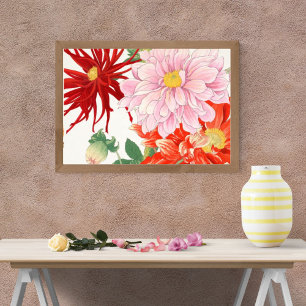 Foto Vintage Japonês Dahlias