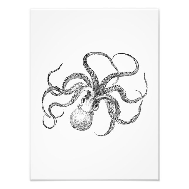 Foto Vintage Octopus Modelo (Frente)