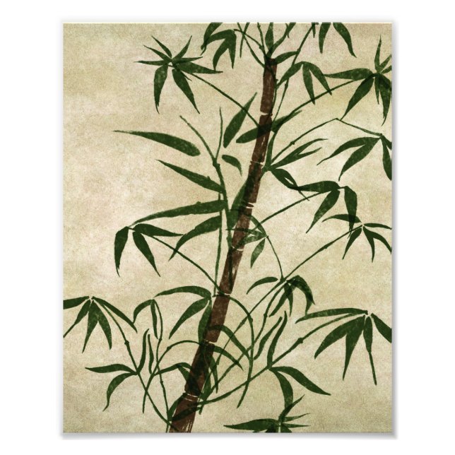 Foto Vintage Oriental Bamboo 1 (Frente)