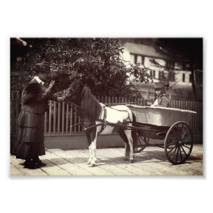 Foto Vintage Paint Pony Cart em Juneau, Alasca