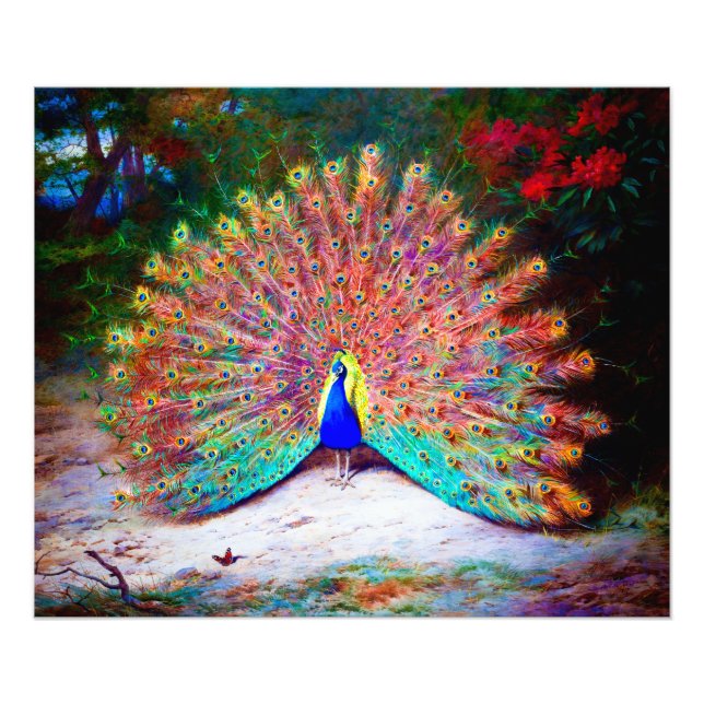 Foto Vintage Peacock Painting (Frente)