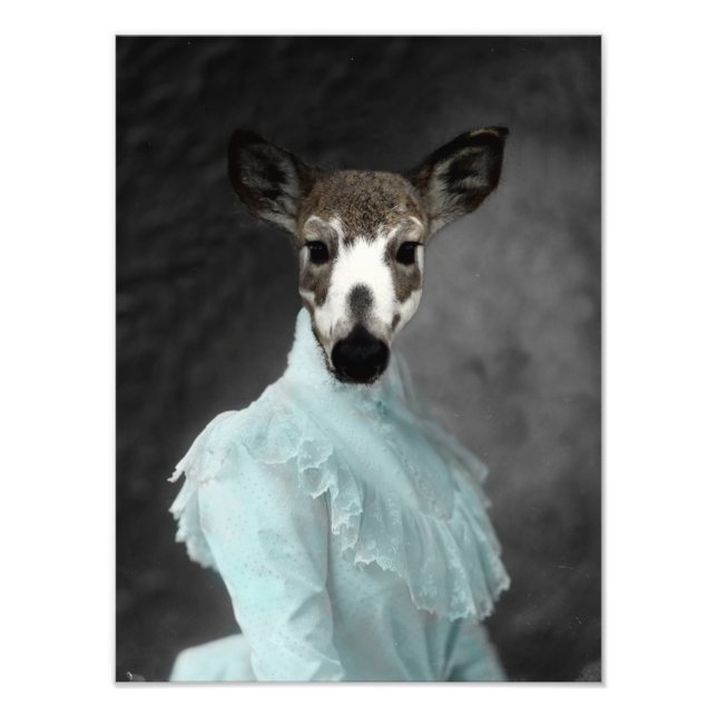 Foto Vintage Piebald Deer (Frente)