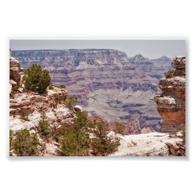 Foto Visão Geral do Pato (Frente)