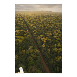 Foto Vista aérea da floresta tropical. Reserva de Iwokr