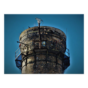 Foto "Vista de Olhos de Pássaro"