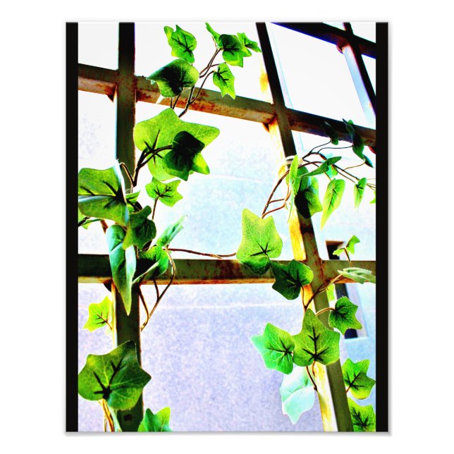 Foto Vista Folha (Frente)