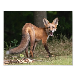 Foto Viva com espírito